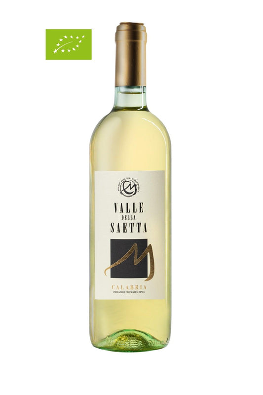 Jefferson bitters bottle of 0,70 cl. - Tastiness Food Shop: Vini e liquori