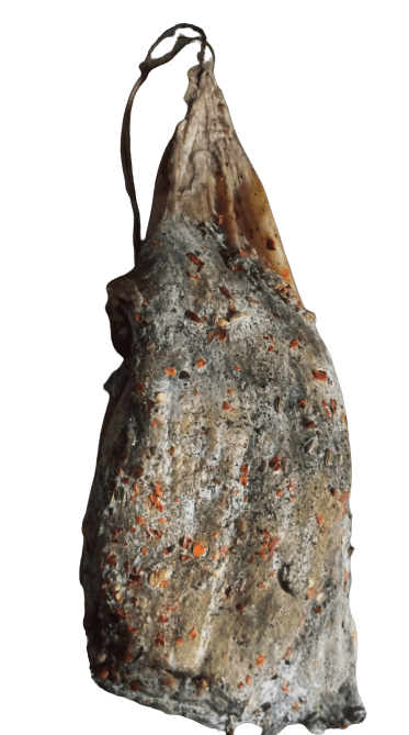 Prosciutto Reale del Brigante 1 kg. - Salumi - horecahub.myshopify.com