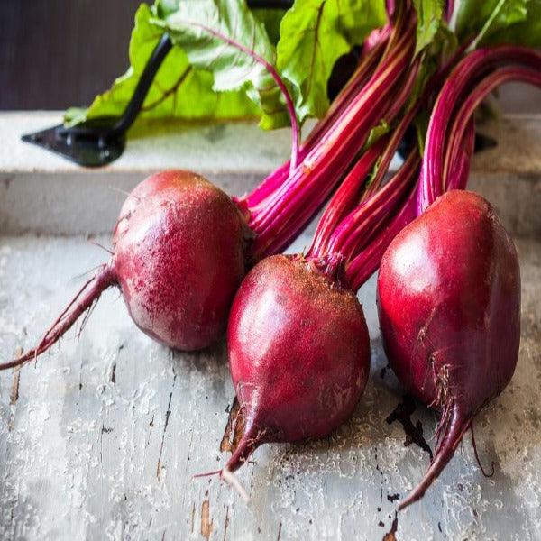 Rapa Rossa - Fresca - frutta e verdura di stagione - horecahub.myshopify.com