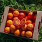 Arance Tarocco di Sicilia - 5 kg - Tastiness Food Shop