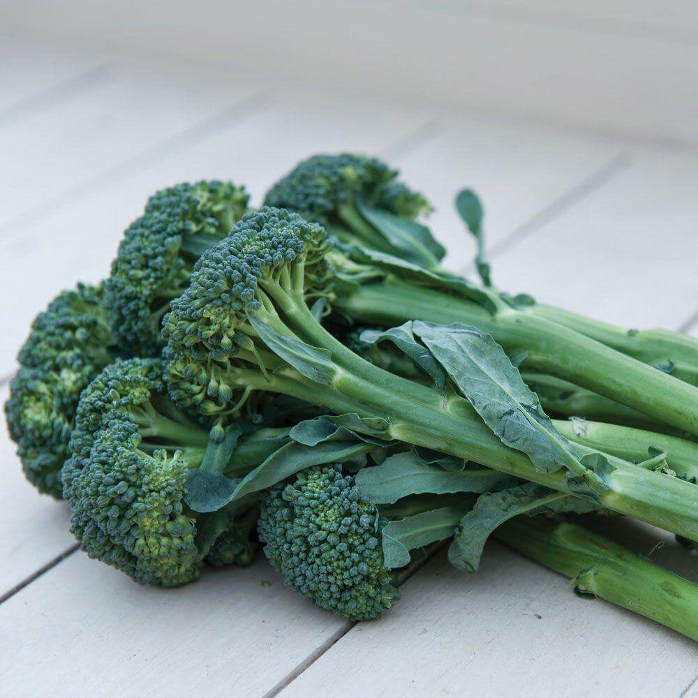 Broccoli Calabresi Nicastresi - Freschi - frutta e verdura di stagione - horecahub.myshopify.com