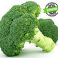 Broccoli Calabresi Nicastresi - Freschi - frutta e verdura di stagione - horecahub.myshopify.com