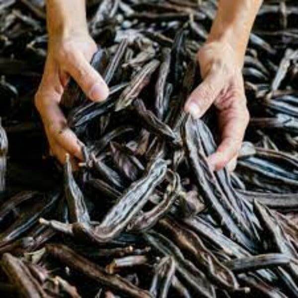 Carrube Siciliane Biologiche - frutta e verdura di stagione - horecahub.myshopify.com