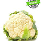 Cavolfiore Bianco - Fresco - frutta e verdura di stagione - horecahub.myshopify.com