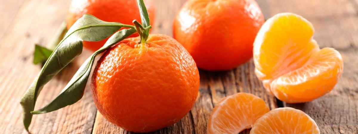 Clementine Fresche - Appena Raccolte - frutta e verdura di stagione - horecahub.myshopify.com