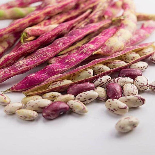 Fagioli Borlotti secchi - 500 gr. - frutta e verdura di stagione - horecahub.myshopify.com