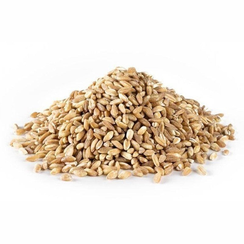 Farro di Calabria grain pile, rich in nutrients and ideal for soups and summer salads.
