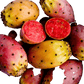 Fichi d'india di Sicilia - Freschi - frutta e verdura di stagione - horecahub.myshopify.com