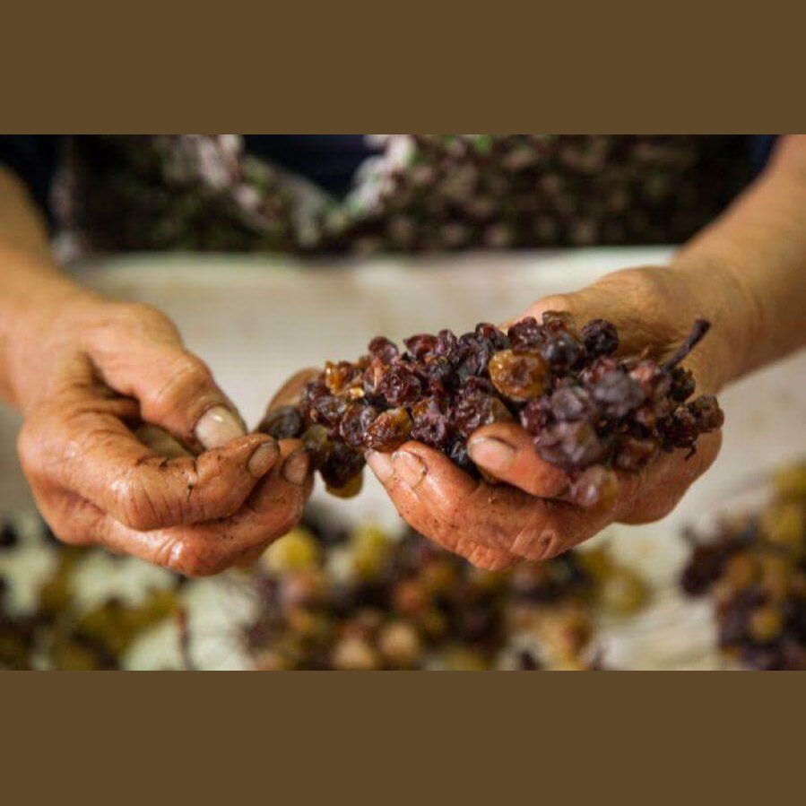 Vino Passito - Moscato Passito di Saracena - Presidio Slow Food, bottiglia da 0,375 l - Vini e liquori - horecahub.myshopify.com