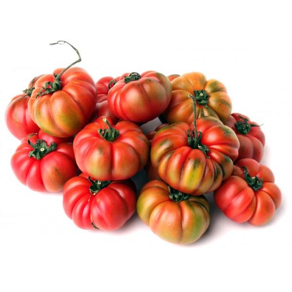 Pomodoro Costoluto del contadino - frutta e verdura di stagione - horecahub.myshopify.com