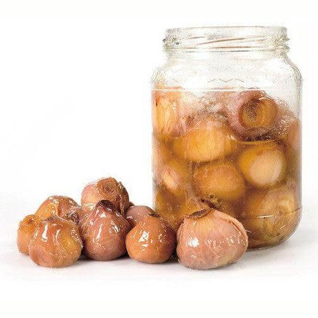 Lampascioni Selvatici in olio di Oliva vaso vetro 280 gr. - Conserve di Terra, di Mare, Delicatessen - horecahub.myshopify.com