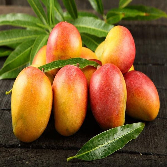 Mango di Calabria - Frutta Tropicale Calabrese - frutta e verdura di stagione - horecahub.myshopify.com