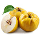 Mele Cotogne di Calabria - frutta e verdura di stagione - horecahub.myshopify.com