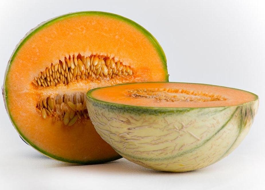 Melone Cantalupo Intero da circa 1,5 kg - frutta e verdura di stagione - horecahub.myshopify.com