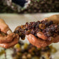 Vino Passito - Moscato Passito di Saracena - Presidio Slow Food, bottiglia da 0,375 l - Vini e liquori - horecahub.myshopify.com