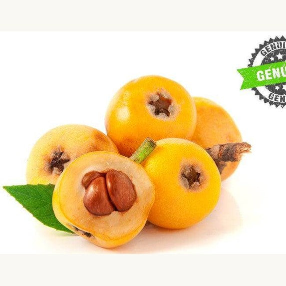 Nespole Fresche cestino da 500 gr. - frutta e verdura di stagione - horecahub.myshopify.com