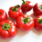 Peperoni Tondi - frutta e verdura di stagione - horecahub.myshopify.com