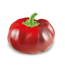 Peperoni Tondi - frutta e verdura di stagione - horecahub.myshopify.com
