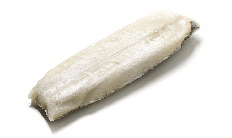 Pesce Stocco Crudo - Conserve di Terra, di Mare, Delicatessen - horecahub.myshopify.com