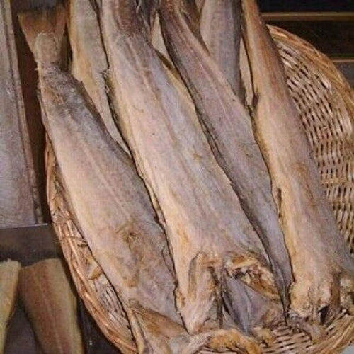 Pesce Stocco pinna - 1 kg circa