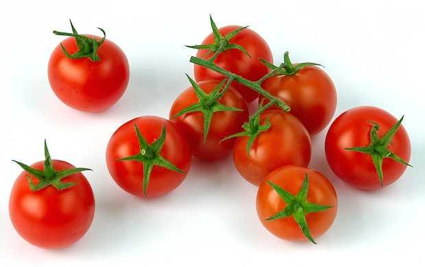 Pomodoro Ciliegino - frutta e verdura di stagione - horecahub.myshopify.com