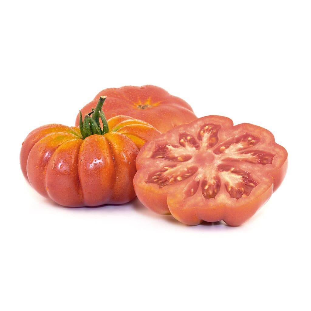 Pomodoro Costoluto del contadino - frutta e verdura di stagione - horecahub.myshopify.com