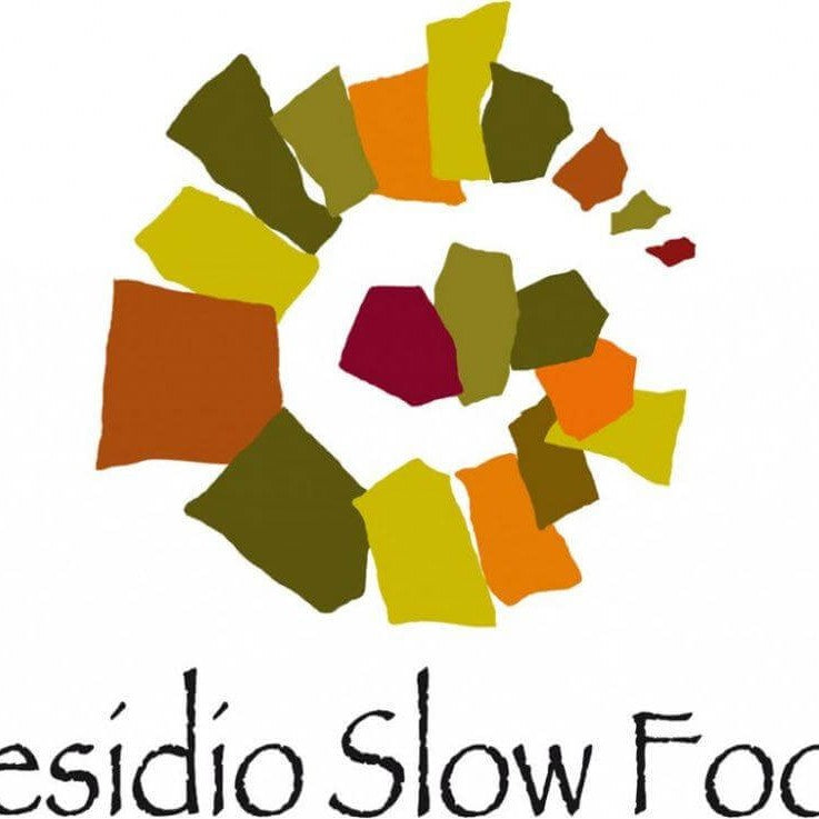 Vino Passito - Moscato Passito di Saracena - Presidio Slow Food, bottiglia da 0,375 l - Vini e liquori - horecahub.myshopify.com