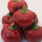 Peperoni Tondi - frutta e verdura di stagione - horecahub.myshopify.com