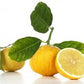 Bergamotto fresco l'originale di Reggio Calabria 1 Kg. - frutta e verdura di stagione - horecahub.myshopify.com