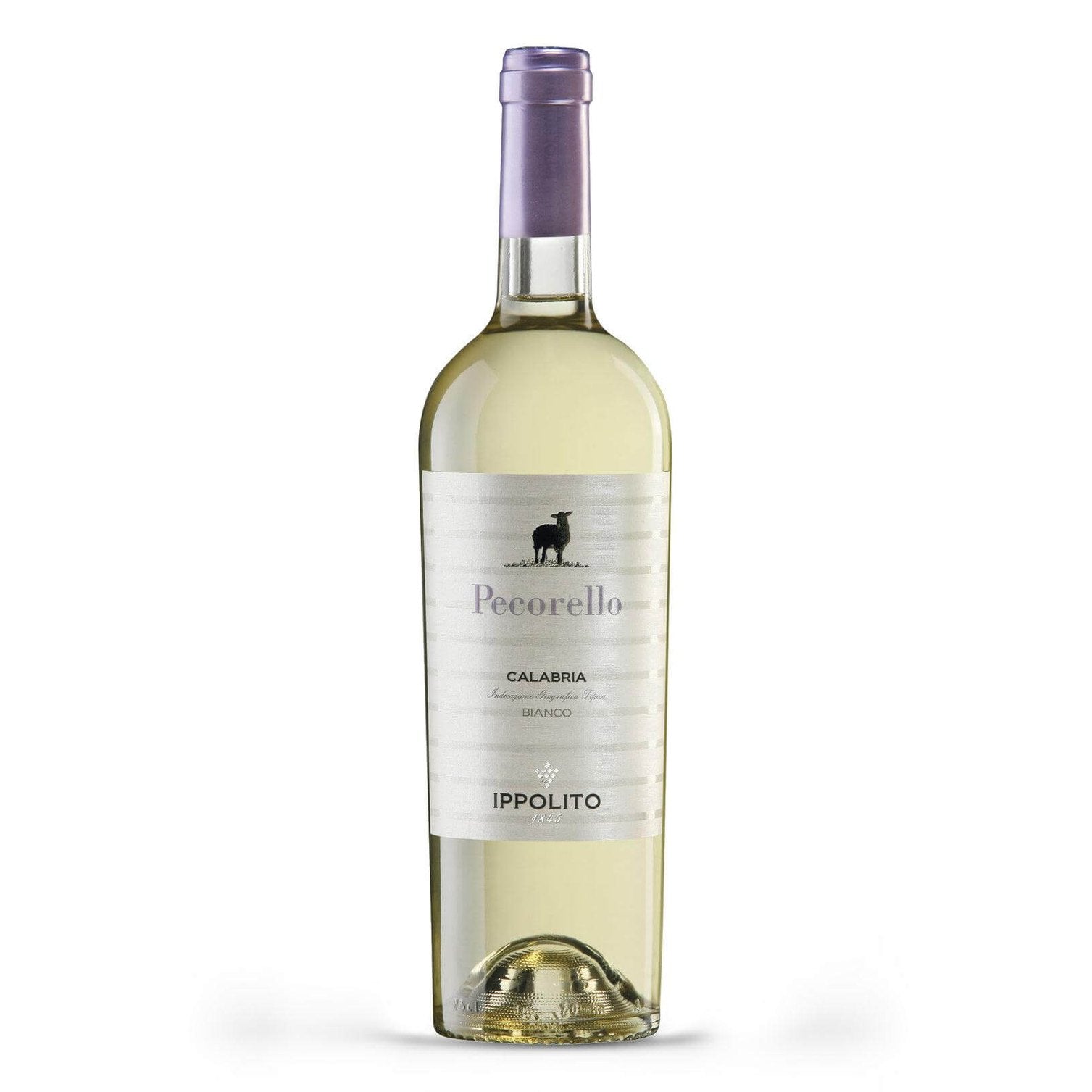 Vino Bianco - Pecorello di Calabria IGT 0.75 l - Vini e liquori - horecahub.myshopify.com