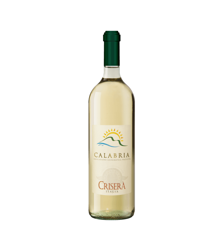 Vino Bianco Calabria IGT bottiglia da 0,75 cl - Vini e liquori - horecahub.myshopify.com